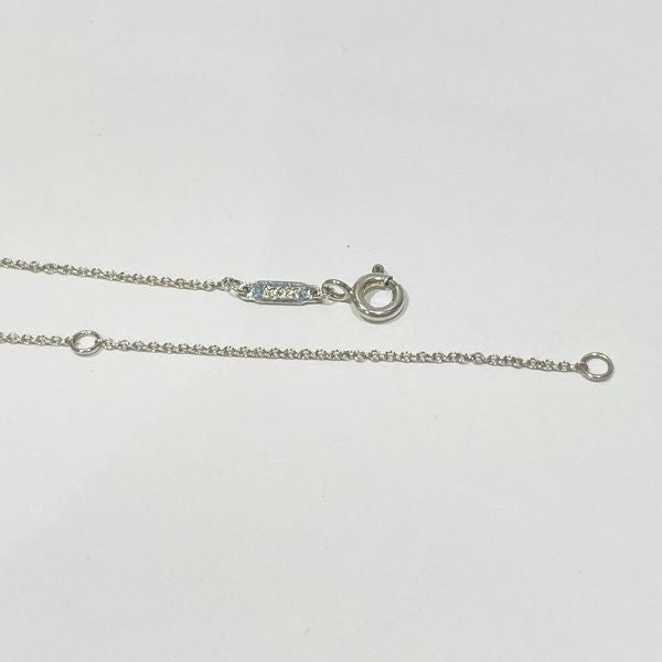 TIFFANY&Co.(ティファニー) リターントゥ ティファニー ブルー ダブルハートタグ スモール ネックレス シルバー925 レディース【中古AB】20240120